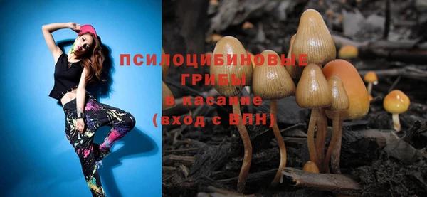 спайс Алексеевка