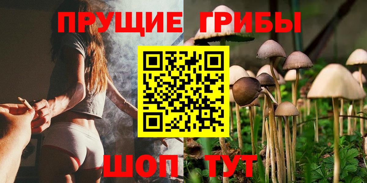 Псилоцибиновые грибы мицелий Геленджик