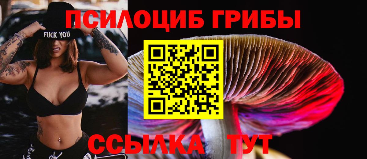 Галлюциногенные грибы мухоморы  где можно купить   Геленджик  Псилоцибиновые грибы прущие грибы  Вход с VPN 